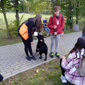Uczniowie Zespołu Szkół Ogólnokształcących nr 6 w Tarnowie podczas Miejskiego Pikniku Rodzinnego "Dzień Babiego Lata" spacerują z psami z tarnowskiego Azylu