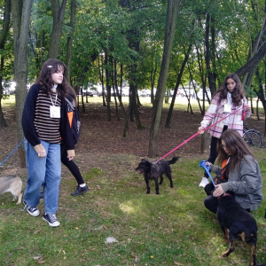 Uczniowie Zespołu Szkół Ogólnokształcących nr 6 w Tarnowie podczas Miejskiego Pikniku Rodzinnego "Dzień Babiego Lata" spacerują z psami z tarnowskiego Azylu