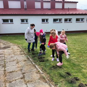 Klasa 1 sadzi tulipany na kwestę dla Hospicjum Via Spei w Tarnowie