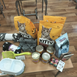 Produkty zebrane dla kotów, którymi opiekuje się Fundacja "Zmieńmy Świat" z Tarnowa