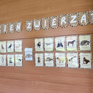 DZIEŃ ZWIERZĄT - wystawa zdjęć ze zwierzętami na korytarzu szkolnym w klasie pierwszej