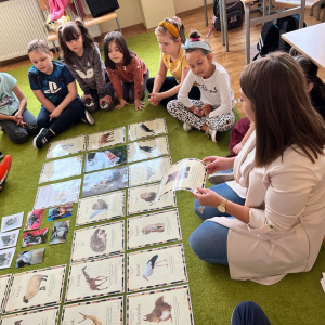 Dzień zwierząt w klasie pierwszej - uczniowie siedzą na dywanie i oglądają zdjęcia różnych zwierząt prezentowanych przez wychowawczynię