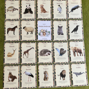 Dzień zwierząt w klasie pierwszej - ilustracje przedstawiające zwierzęta domowe i dzikie.