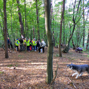 Wycieczka do Rożnowa na LEŚNĄ ŚCIEŻKĘ - uczniowie podczas wyprawy do lasu