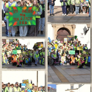 Odblaskowy Marsz - kolaż zdjęć