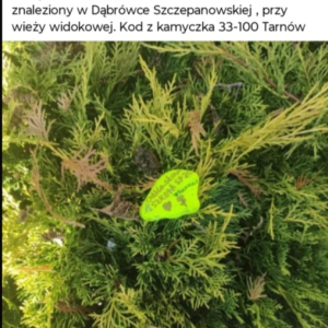 Informacja o odnalezieniu odblaskowego kamyczka w Dąbrówce Szczepanowskiej przy wieży widokowej