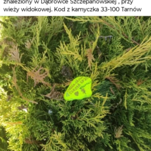 Odblaskowy kamyczek znaleziony w Dąbrówce Szczepanowskiej przy wieży widokowej