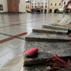 Odnaleciony na Rynku w Tarnowie kamyczek jedzie do Krakowa