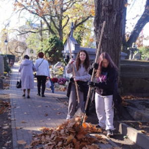 Wolontariuszki porządkują Stary Cmentarz