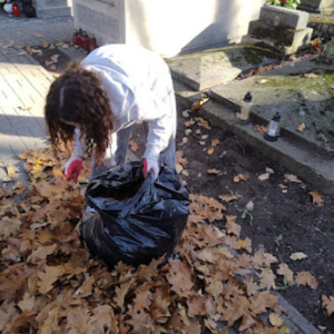 Wolontariuszki porządkują Stary Cmentarz
