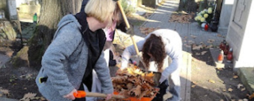 Wolontariuszki z ZSO6 porządkowały Stary Cmentarz