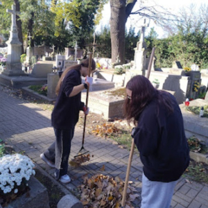 Wolontariuszki porządkują Stary Cmentarz