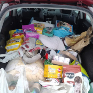 Zebrane karmy i inne rzeczy są zapakowane do auta