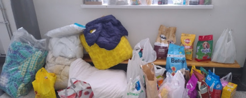 Efekty zbiórki akcesoriów dla psów i kotów - akcji Szkolnego Koła Wolontariatu