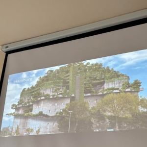 Koncepcja Miasta -Gąbki - zajęcia w klasie 8b