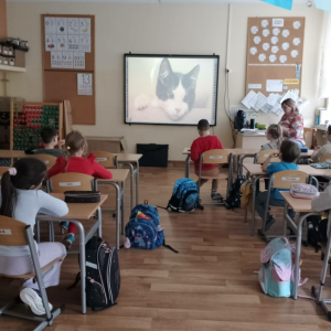 Światowy Dzień Kota w klasie 1a