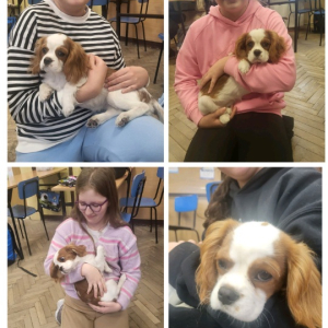 Zajęcia z psem w klasie 5a - kolaż zdjęć