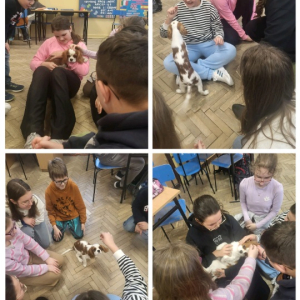Zajęcia z psem w klasie 5a - kolaż zdjęć