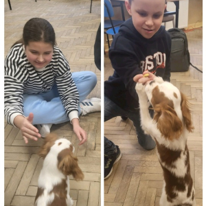 Zajęcia z psem w klasie 5a - kolaż zdjęć