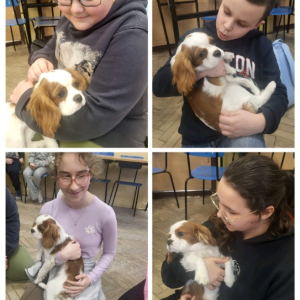 Zajęcia z psem w klasie 5a - kolaż zdjęć