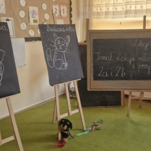 Lekcja w klasie 2a i 2b o zwierzętach i roślinach - plakaty z lekcji