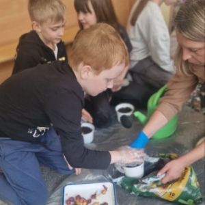 Lekcja w klasie 2a i 2b o zwierzętach i roślinach - dzieci sadzą rośliny