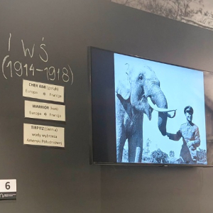 Uczniowie z klasy szóstej na warsztatach historycznych - fragment wystawy