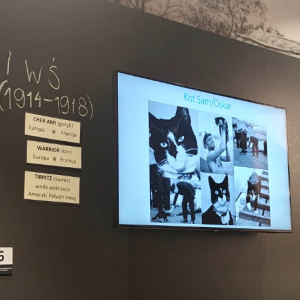 Uczniowie z klasy szóstej na warsztatach historycznych - fragment wystawy