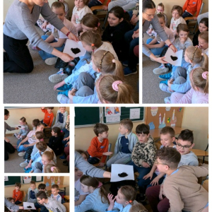 Dzień Ziemi metodą Attention Autism - kolaż zdjęć