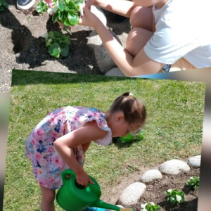 Dąb Pamięci Stefana Syrka na terenie naszej szkoły