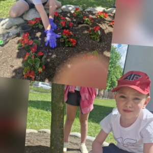 Dąb Pamięci Stefana Syrka na terenie naszej szkoły